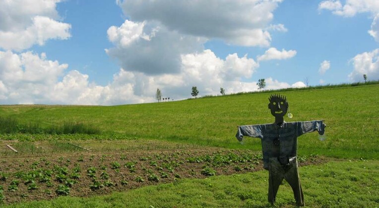 Wetter in Hüttisheim